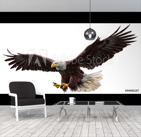 Picture of Bald eagle flying draw and paint on white background vector illustration